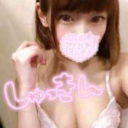 あんず 🎀 今日もたくさん 🎀 多恋人倶楽部（山口）