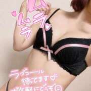 ヒメ日記 2026/03/31 17:34 投稿 あんず 多恋人倶楽部（山口）