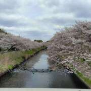 ヒメ日記 2025/04/10 15:09 投稿 白阪もえな ワイフコレクション