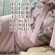 芹沢りん 12月の出勤予定(仮)? 華椿