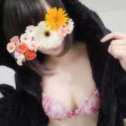 ヒメ日記 2024/12/18 14:16 投稿 中条おとは 華椿