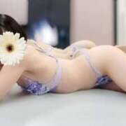 ヒメ日記 2024/12/23 10:46 投稿 中条おとは 華椿