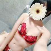 ヒメ日記 2025/01/20 11:46 投稿 中条おとは 華椿