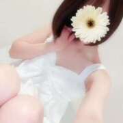 中条おとは 今日のおとは♪ 華椿