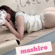 ヒメ日記 2025/01/19 13:01 投稿 日向ましろ 華椿