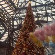 ヒメ日記 2024/12/18 15:16 投稿 高岡まなみ 華椿