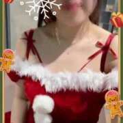 ヒメ日記 2024/12/25 06:31 投稿 石野やよい 華椿