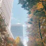 石野やよい ? 華椿