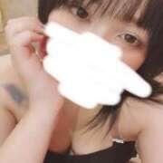 ヒメ日記 2024/12/15 09:03 投稿 ノノ いたずらバニーちゃん