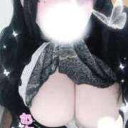 ヒメ日記 2025/12/03 15:22 投稿 せしる 君とふわふわプリンセスin立川