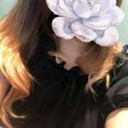 ヒメ日記 2025/07/28 20:30 投稿 しき 奥様メモリアル