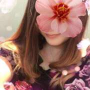 ヒメ日記 2025/07/31 21:42 投稿 しき 奥様メモリアル