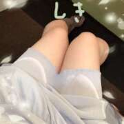 ヒメ日記 2025/08/29 10:33 投稿 しき 奥様メモリアル