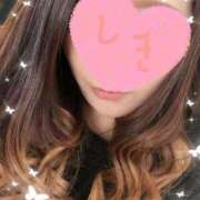 ヒメ日記 2025/10/28 11:03 投稿 しき 奥様メモリアル