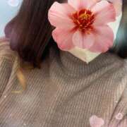 ヒメ日記 2026/01/04 11:42 投稿 しき 奥様メモリアル