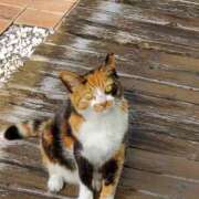 ヒメ日記 2025/12/05 12:40 投稿 さや デリトップ