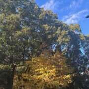 ヒメ日記 2024/12/18 09:53 投稿 あいり もしも素敵な妻が指輪をはずしたら・・・カーラ