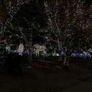 ヒメ日記 2024/12/25 00:25 投稿 りりあ マリン宮殿雄琴店