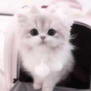 ヒメ日記 2025/01/09 00:07 投稿 りりあ マリン宮殿雄琴店