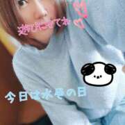 ヒメ日記 2025/02/01 11:39 投稿 ちかげ チェックイン素人専門大人女子