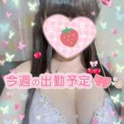 ヒメ日記 2025/12/11 11:33 投稿 みこ Queen Angel(クイーンエンジェル)