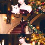 ヒメ日記 2025/12/24 11:35 投稿 ♦ののか♦ 翡翠の夢