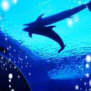 ヒメ日記 2026/03/06 10:30 投稿 るき 奥鉄オクテツ神奈川店（デリヘル市場グループ）