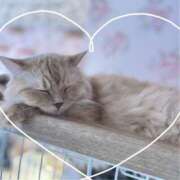 ヒメ日記 2025/08/31 15:28 投稿 はね 池袋あられ