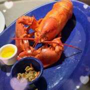 ヒメ日記 2026/02/12 13:23 投稿 しゃる 池袋あられ