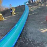 ヒメ日記 2024/12/16 09:20 投稿 木村真琴(きむらまこと) 鶯谷ナンバーワン