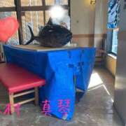 ヒメ日記 2025/03/03 09:50 投稿 木村真琴(きむらまこと) 鶯谷ナンバーワン