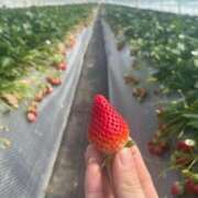 ヒメ日記 2025/03/07 08:51 投稿 木村真琴(きむらまこと) 鶯谷ナンバーワン