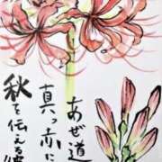 ヒメ日記 2025/09/29 19:58 投稿 No.25 まな FORTUNE