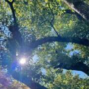 ヒメ日記 2025/10/09 20:01 投稿 No.25 まな FORTUNE