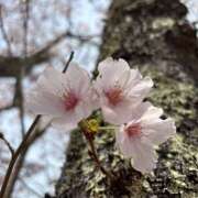 ヒメ日記 2026/04/13 20:08 投稿 No.25 まな FORTUNE