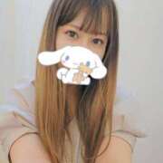 ヒメ日記 2024/12/15 10:38 投稿 せな 新宿本店 ぽちゃカワ女子専門店