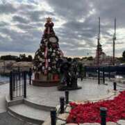 ヒメ日記 2025/11/21 20:13 投稿 ゆうき マリン千葉店