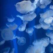 ヒメ日記 2025/09/07 13:33 投稿 神崎　ゆりあ OLピンクコレクション