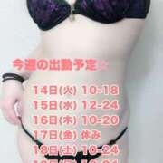 ヒメ日記 2025/01/13 14:27 投稿 七海(ななみ) 八王子人妻城