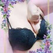 ヒメ日記 2025/06/19 10:47 投稿 ゆかり先生 渋谷   大人の幼稚園