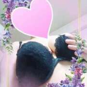 ヒメ日記 2025/07/21 10:47 投稿 ゆかり先生 渋谷   大人の幼稚園