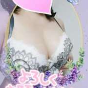 ヒメ日記 2025/08/28 10:57 投稿 ゆかり先生 渋谷   大人の幼稚園