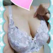 ヒメ日記 2025/10/20 11:17 投稿 ゆかり先生 渋谷   大人の幼稚園