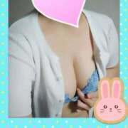 ヒメ日記 2025/11/24 10:57 投稿 ゆかり先生 渋谷   大人の幼稚園