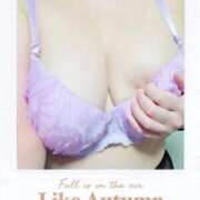 ヒメ日記 2025/12/14 10:47 投稿 ゆかり先生 渋谷   大人の幼稚園