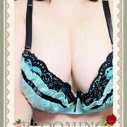 ヒメ日記 2025/12/27 10:47 投稿 ゆかり先生 渋谷   大人の幼稚園