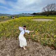ヒメ日記 2025/03/21 16:34 投稿 有馬めぐ 川崎人妻城
