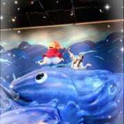 ヒメ日記 2025/10/28 12:02 投稿 有馬めぐ 川崎人妻城