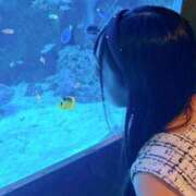 有馬めぐ 何も望んではいけない🫧 川崎人妻城