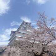 ヒメ日記 2026/04/23 22:02 投稿 有馬めぐ 川崎人妻城